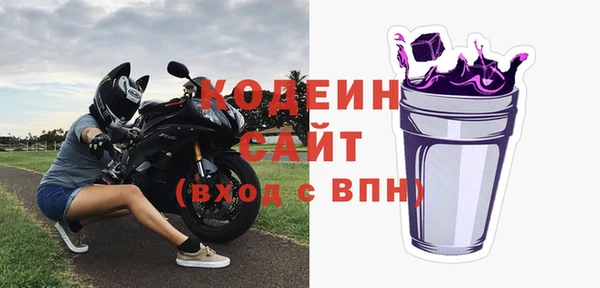 индика Арсеньев