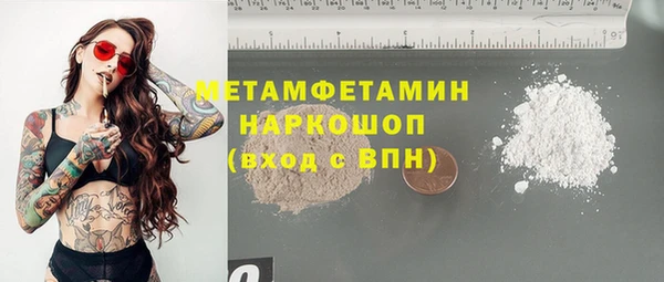 индика Арсеньев