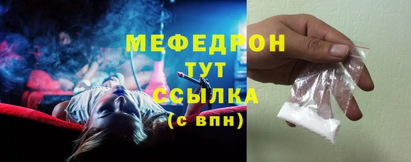 индика Арсеньев