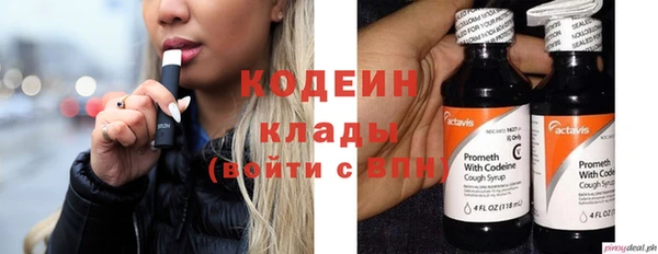 индика Арсеньев