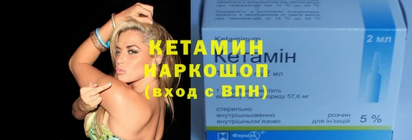 индика Арсеньев
