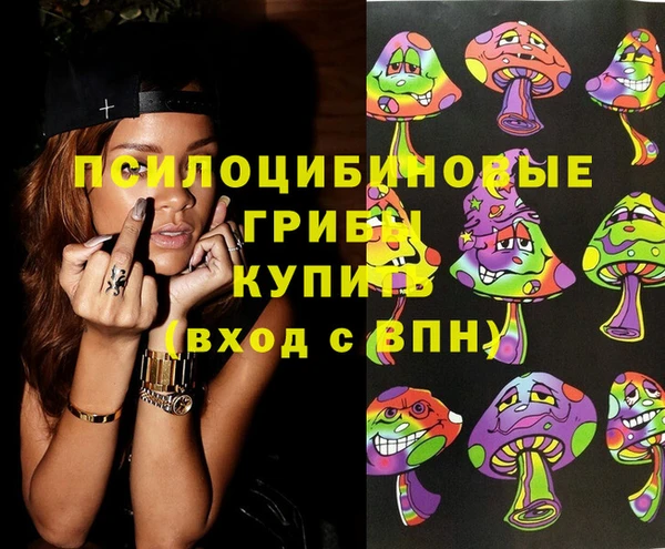 эйфоретик Аркадак