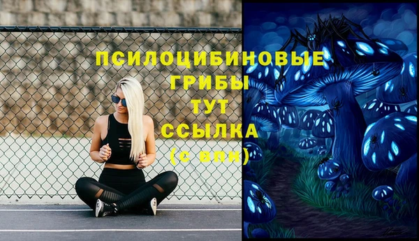 эйфоретик Аркадак