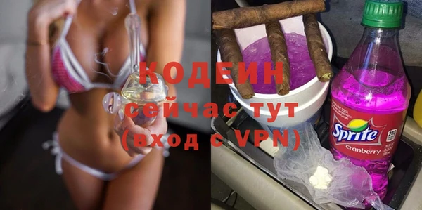 индика Арсеньев