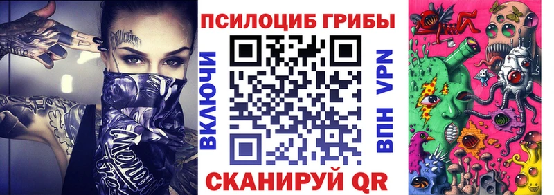 Псилоцибиновые грибы Psilocybe Армянск