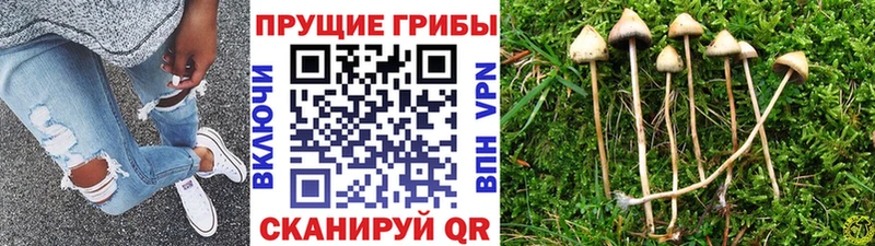 Галлюциногенные грибы мицелий  наркотики  Армянск 